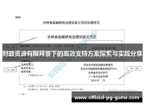 财政资源有限背景下的高效支持方案探索与实践分享