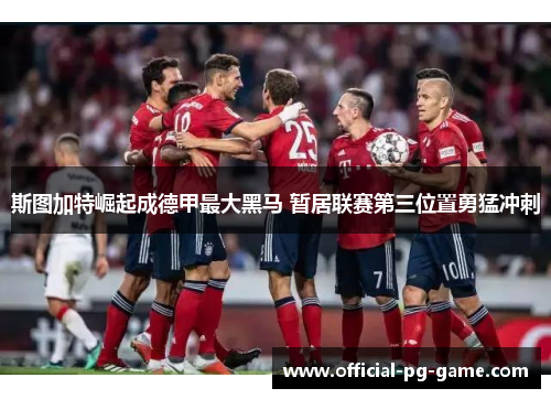 斯图加特崛起成德甲最大黑马 暂居联赛第三位置勇猛冲刺